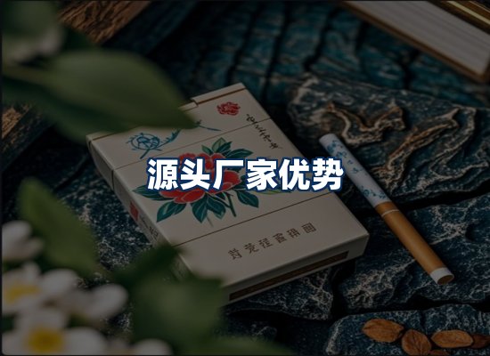 专业团队办公环境